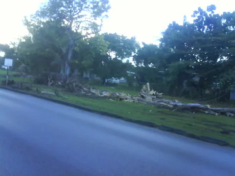Fallen trees and downed power lines across Highway 1 at Holetown, Barbados, after Tropical Storm Tomas in 2010
